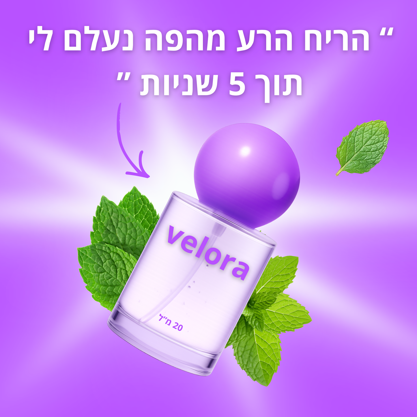 מארז לריח טוב מהפה 24/7
